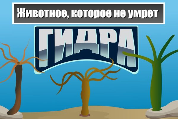 Ссылка на кракен в браузере