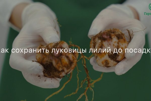 Рабочее зеркало для крамп