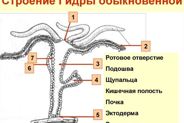 Ссылки для tor