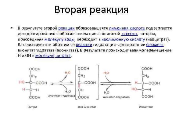 Ссылки в тор