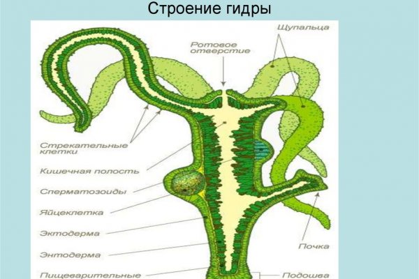 Как зайти на kraken в 2024