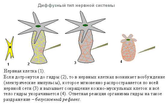 Как найти сайт кракен